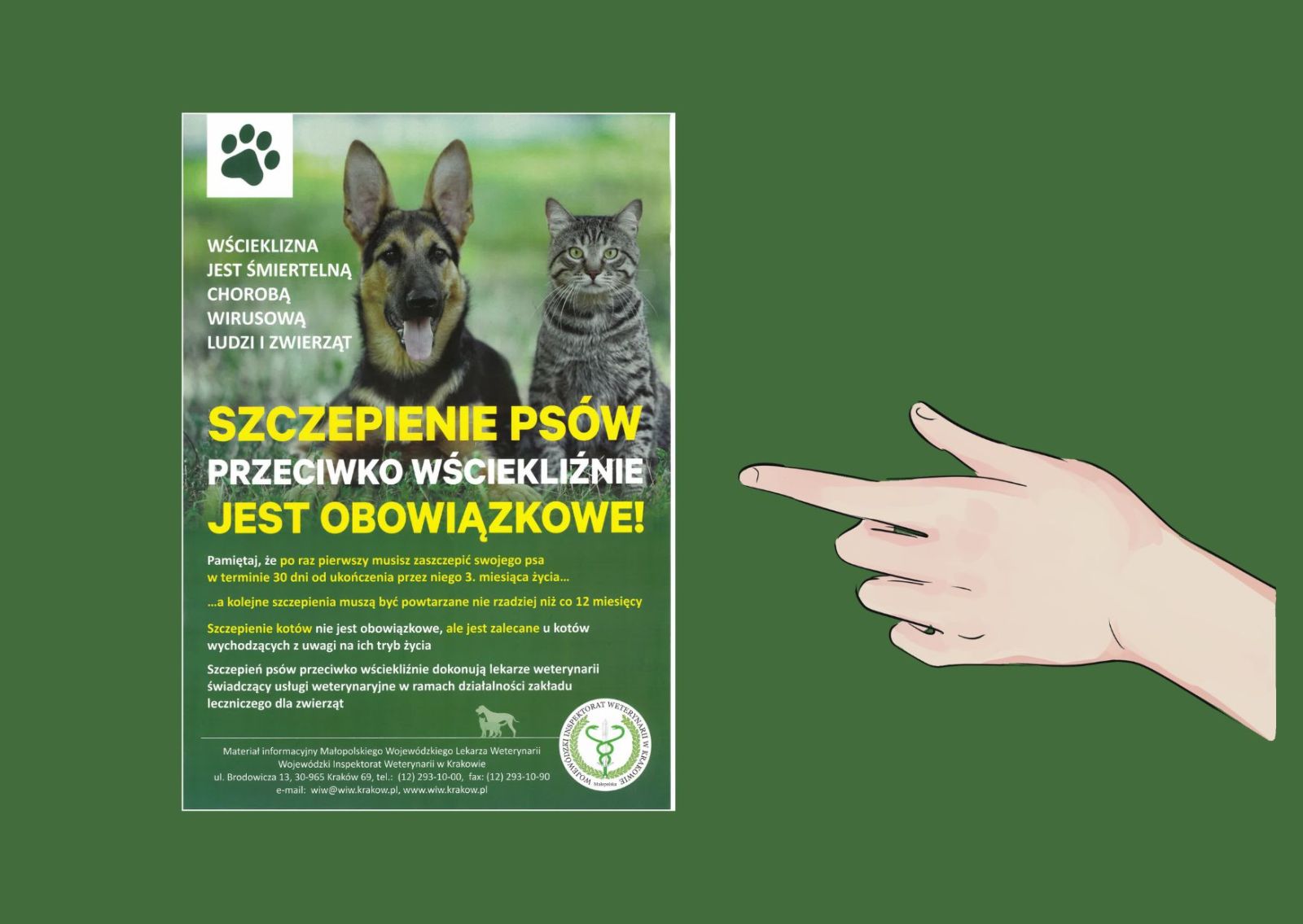 Zdjęcie: UWAGA! Obowiązkowe szczepienie psów