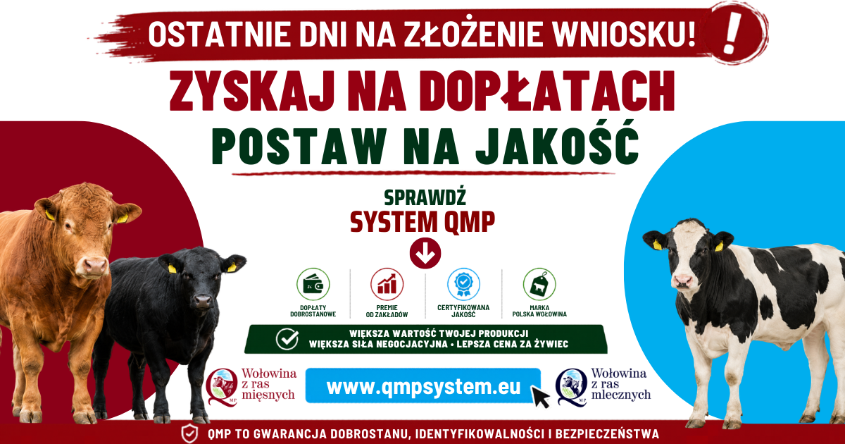 Zdjęcie: Ekoschemat „Dobrostan zwierząt” Dodatkowe pieniądze dla hodowców z QMP – tylko do 1 czerwca!