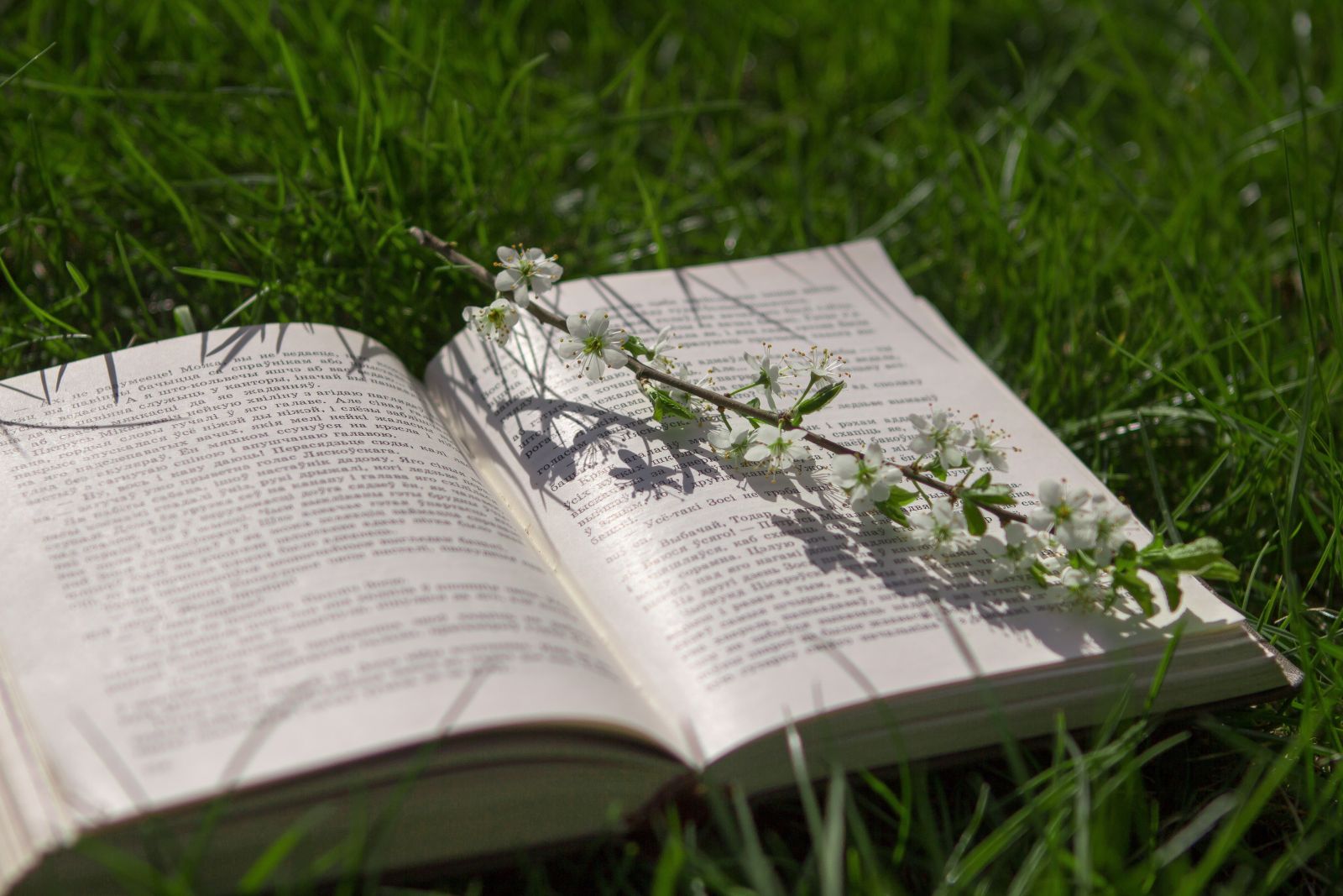 Zdjęcie: Wakacje z biblioteką? To będzie lato pełne inspiracji!